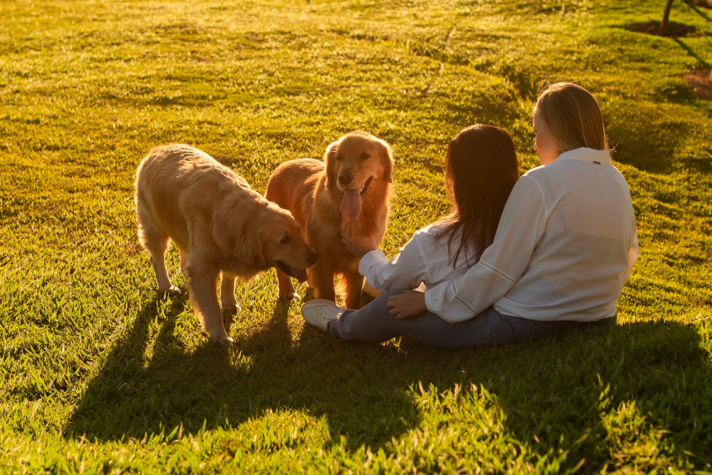 Foto de Jessica Fazio 17